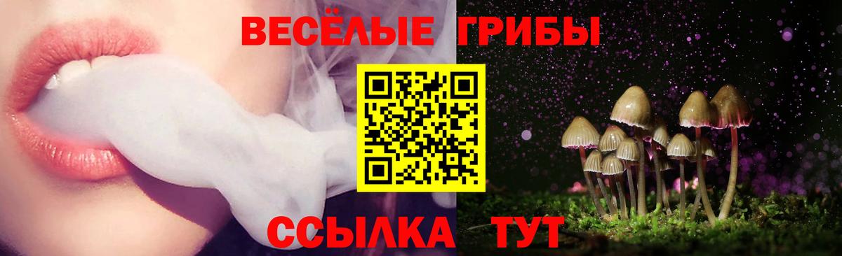Галлюциногенные грибы GOLDEN TEACHER  Вход с VPN  Маркс 